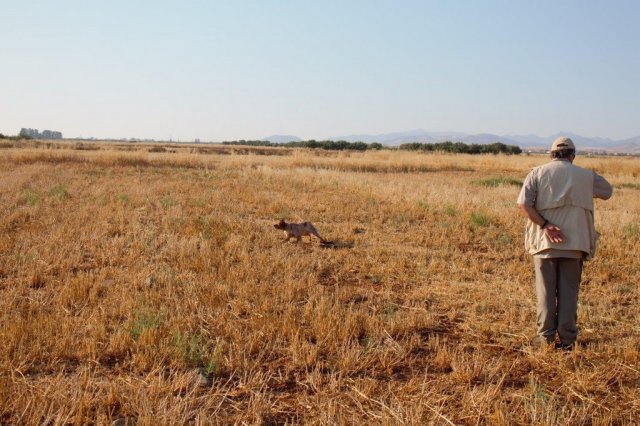 Αγωνες Α.Κ.Ι 18/6/2017